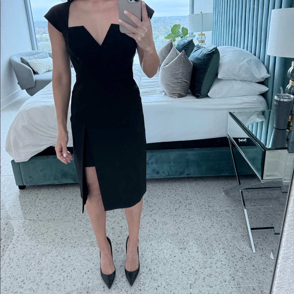 NWT BCBG Max Azria dress